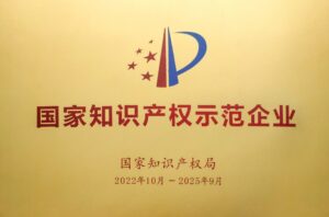 Doanh nghiep thi diem quoc gia ve so huu tri tue 2022